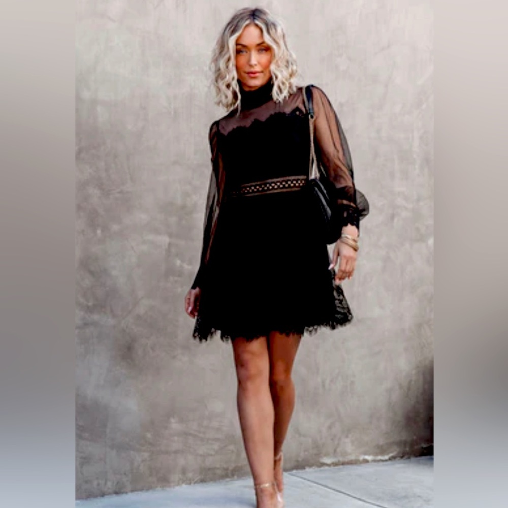 VICI Waldorf Sheer Lace Mini Dress Size XL
